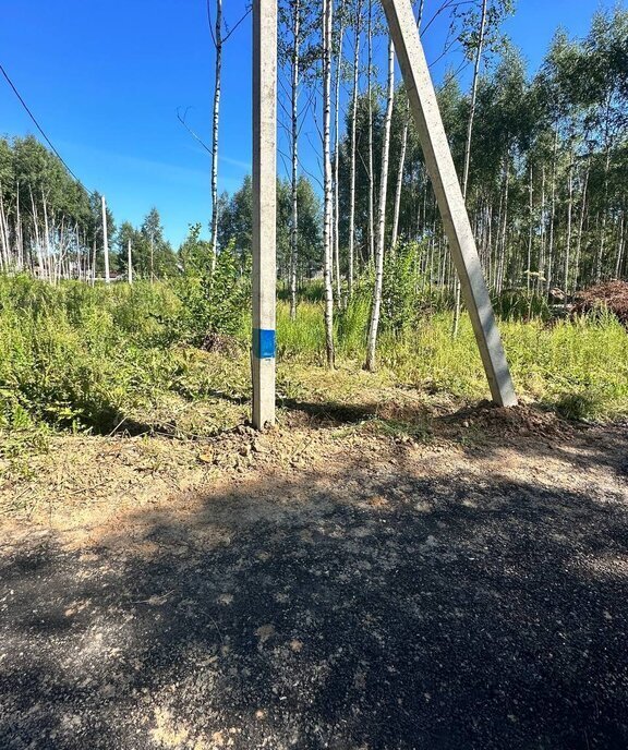 земля городской округ Дмитровский д Целеево Лобня фото 10