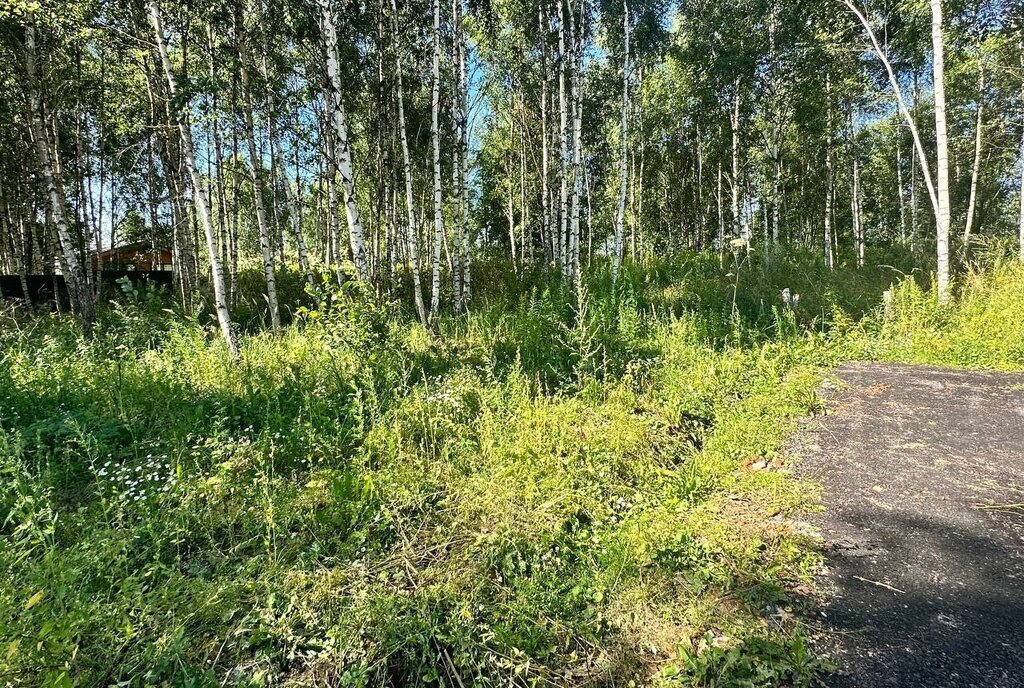 земля городской округ Дмитровский д Целеево Лобня фото 11