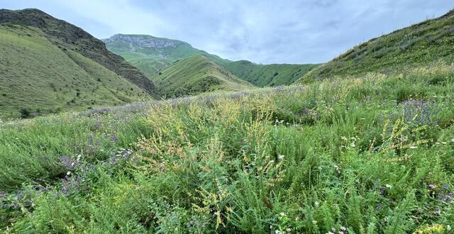 Республика Северная Осетия — Пригородный р-н фото