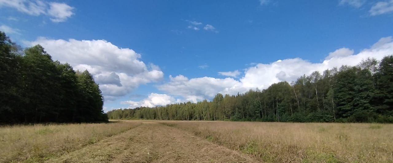 земля городской округ Талдомский д Полутьево фото 10