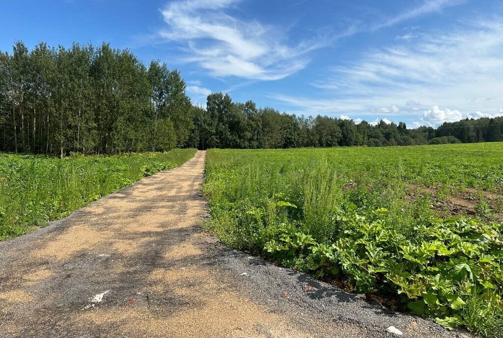 земля городской округ Солнечногорск д Новый Стан фото 13