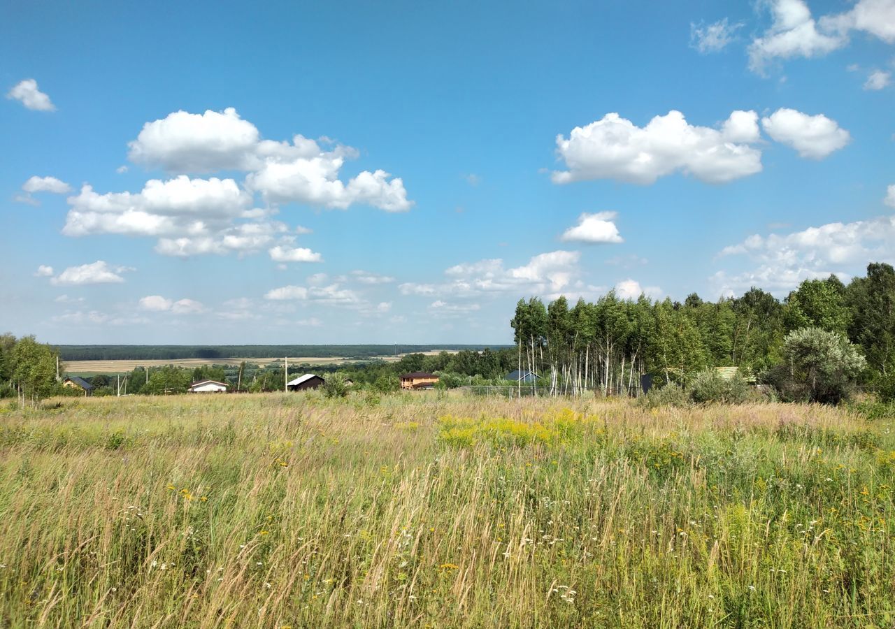 земля городской округ Кашира д. Большое Кропотово, Сельская ул., 13 фото 3