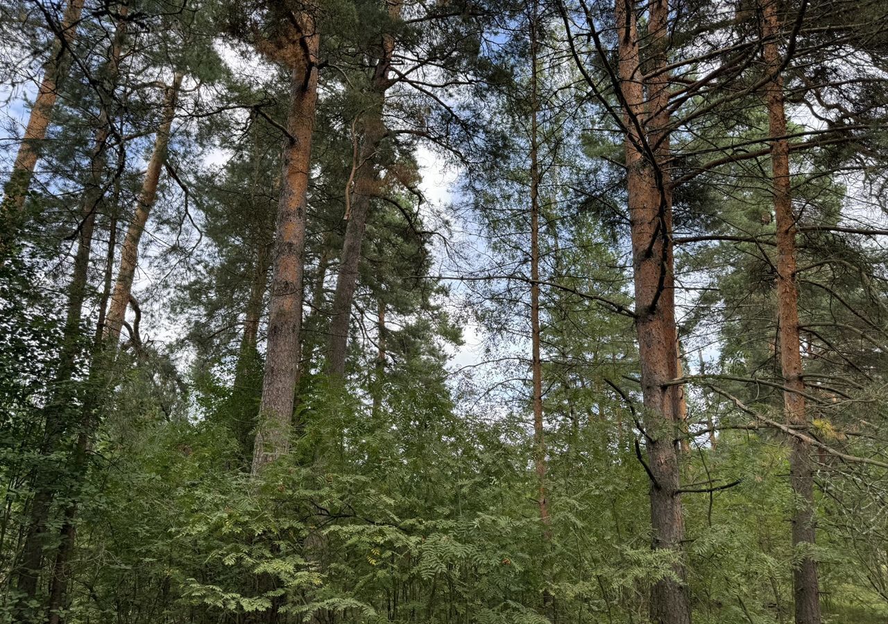 земля городской округ Орехово-Зуевский д Войново-Гора Горьковское шоссе, 3 км, Владимирская область, Городищи фото 1