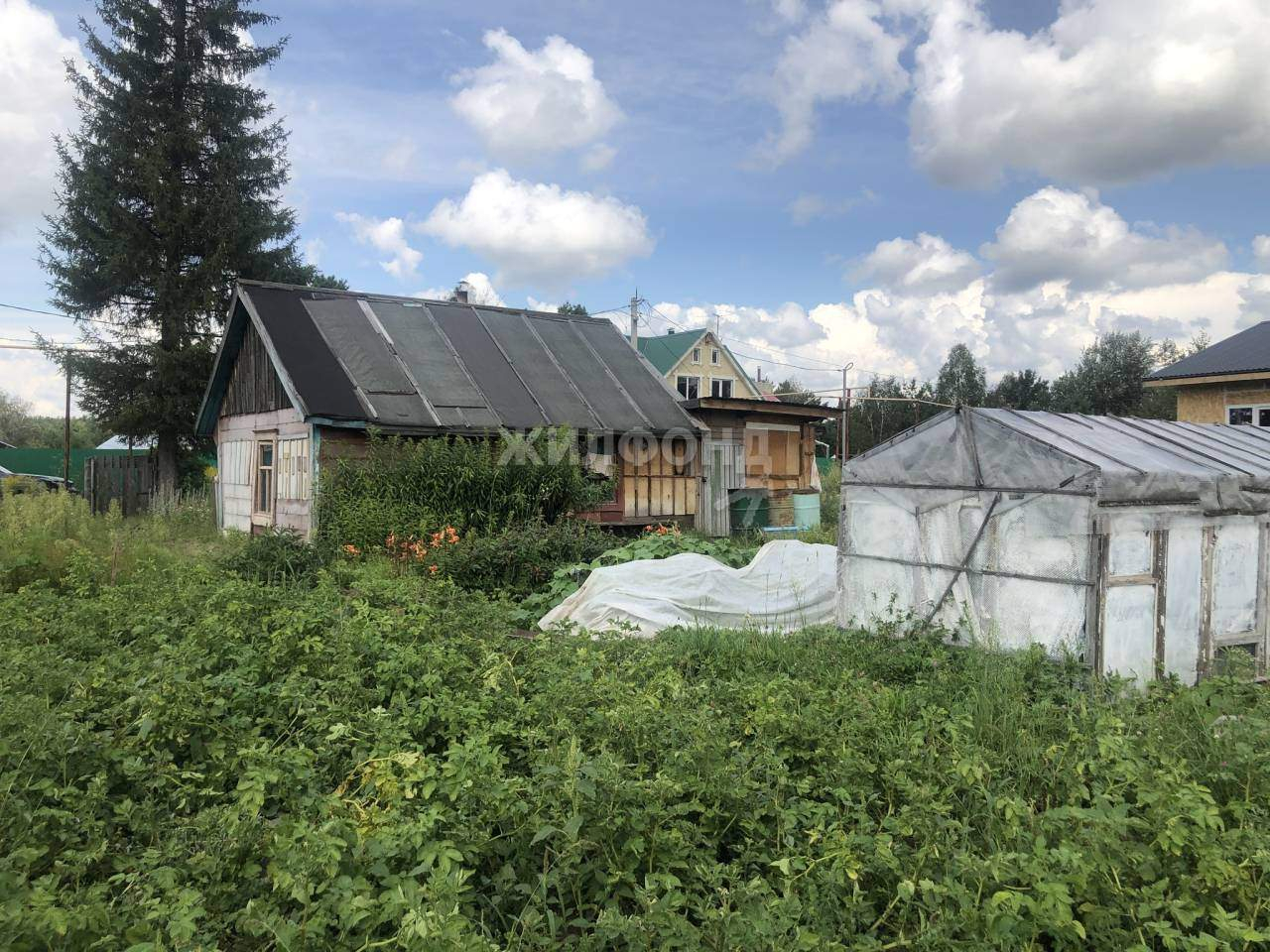 дом р-н Новосибирский п Сосновка ул Лесопильная фото 1