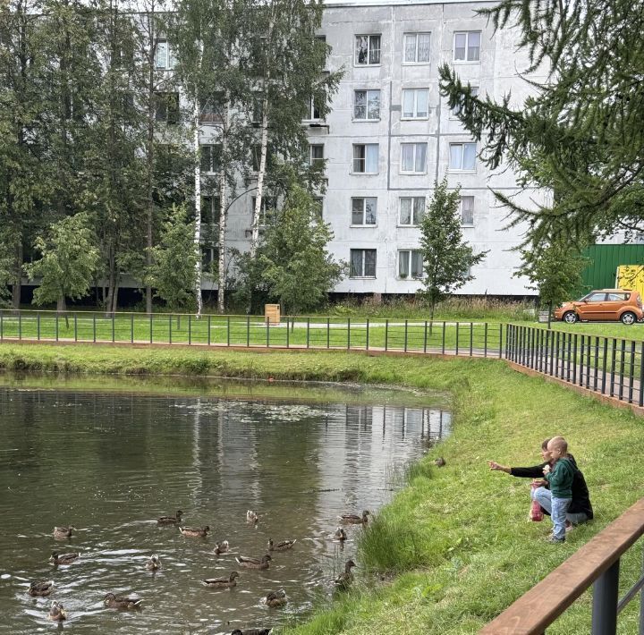 квартира г Санкт-Петербург метро Проспект Ветеранов ш Красносельское 48 Горелово тер. фото 36