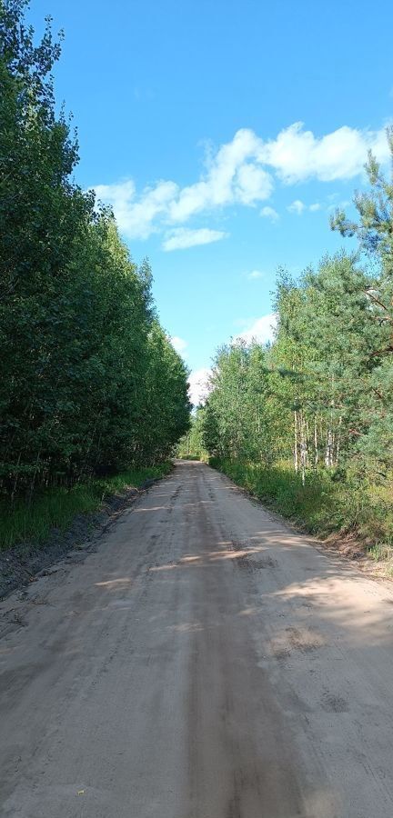 дом городской округ Павловский Посад д Васютино снт Виктория-2 56 км, 41, Электрогорск, Горьковское шоссе фото 25