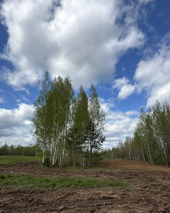 земля р-н Новгородский д Белая Гора ул Раздольная Бронницкое сельское поселение, Пролетарий фото 12