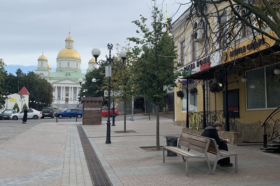 квартира г Пенза р-н Ленинский ул Московская 2 городской округ Пенза фото 5