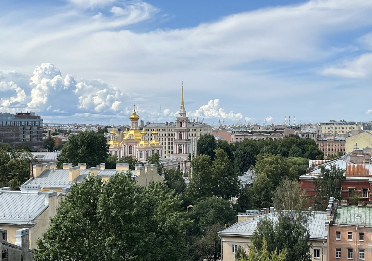 квартира г Санкт-Петербург метро Обводный Канал 1 ул Днепропетровская 37 фото 11