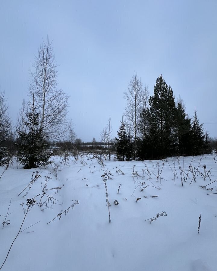 земля р-н Вологодский д Дюково снт Дюково Вологда фото 8