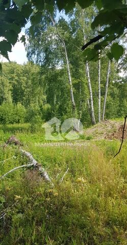 Барышевский сельсовет, 68, Новосибирск фото