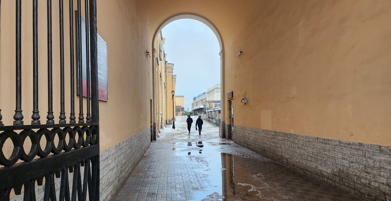 свободного назначения г Санкт-Петербург метро Площадь Восстания пр-кт Невский 85 округ Лиговка-Ямская фото 7