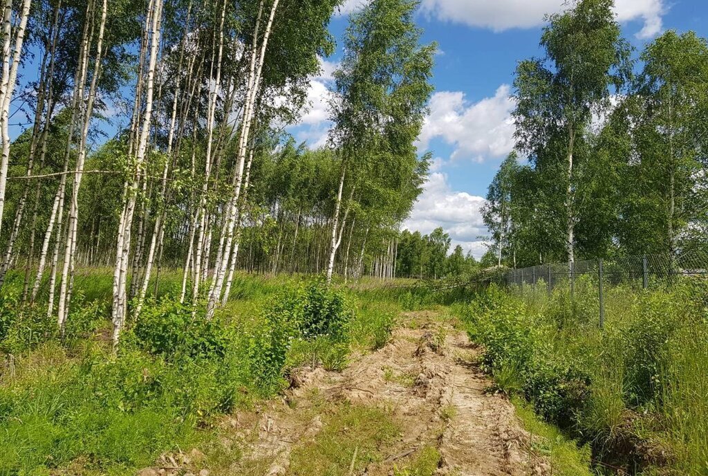 земля городской округ Дмитровский д Капорки Лобня фото 14