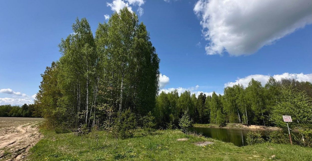 земля городской округ Богородский с Воскресенское 19, Лосино-Петровский фото 24