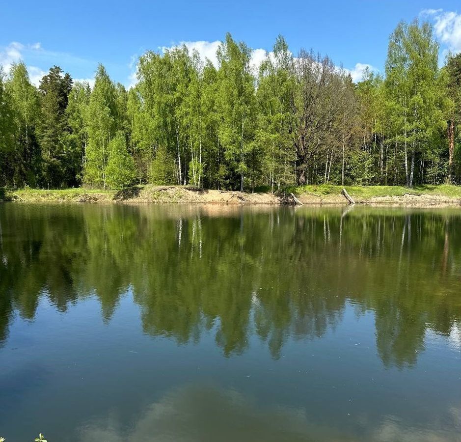 земля городской округ Богородский с Воскресенское 19, Лосино-Петровский фото 25