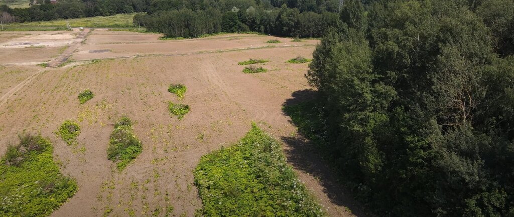 земля городской округ Дмитровский коттеджный поселок «Сорочаны» городской округ Клин фото 2