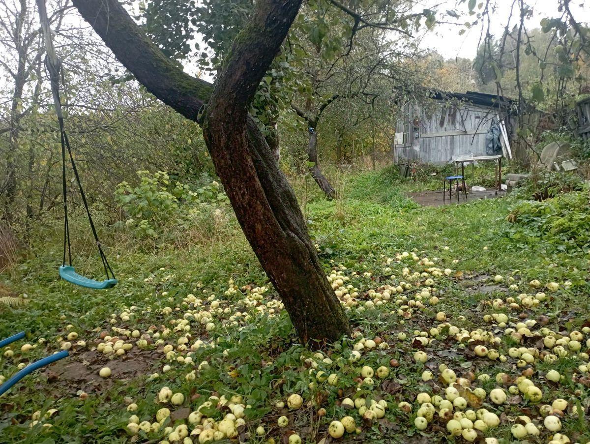 дом г Химки улица Ворошилова фото 4