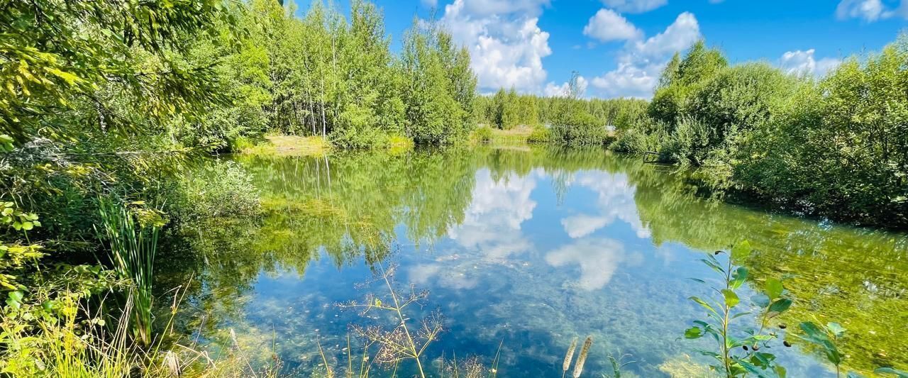 земля городской округ Сергиево-Посадский Яркое кп, 149 фото 4