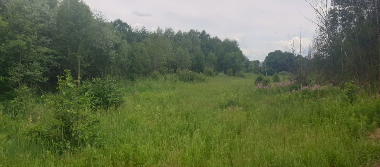 земля городской округ Раменский д Васильево 17, Володарского фото 3