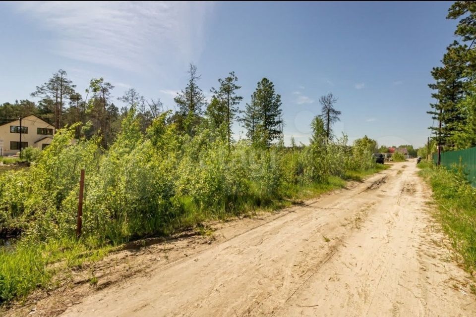 земля городской округ Сургут, 22-я улица, СТ Рябинушка фото 1