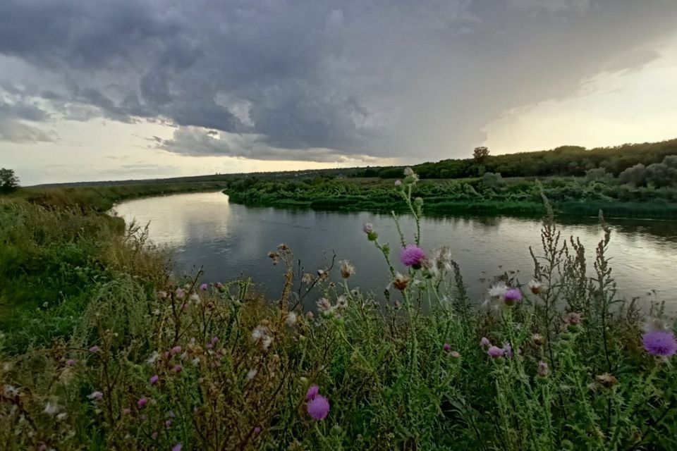 земля р-н Рамонский село Новоживотинное фото 1