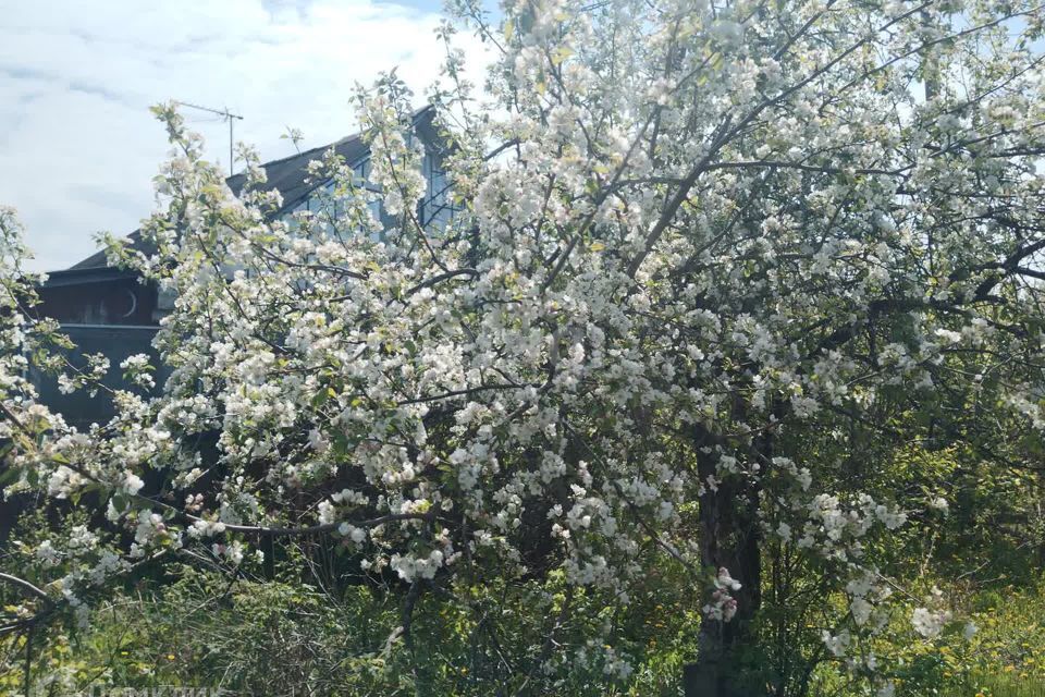 дом г Уфа р-н Демский городской округ Уфа, СНТ Восход фото 3