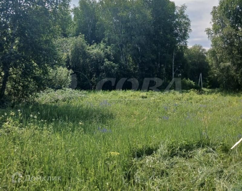 земля г Тюмень городской округ Тюмень, ДНТСН Зелёный Бор фото 2