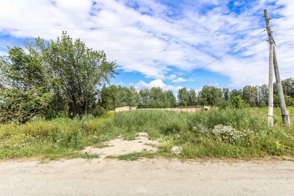 земля р-н Нижнетавдинский д Малые Велижаны ул Центральная фото 3