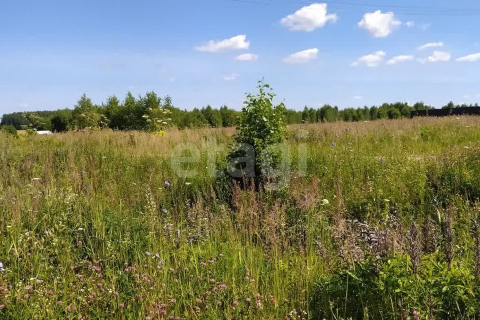 земля р-н Ферзиковский деревня Анненки фото 4