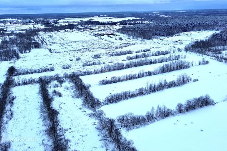 земля р-н Сыктывдинский муниципальное образование Выльгорт фото 9