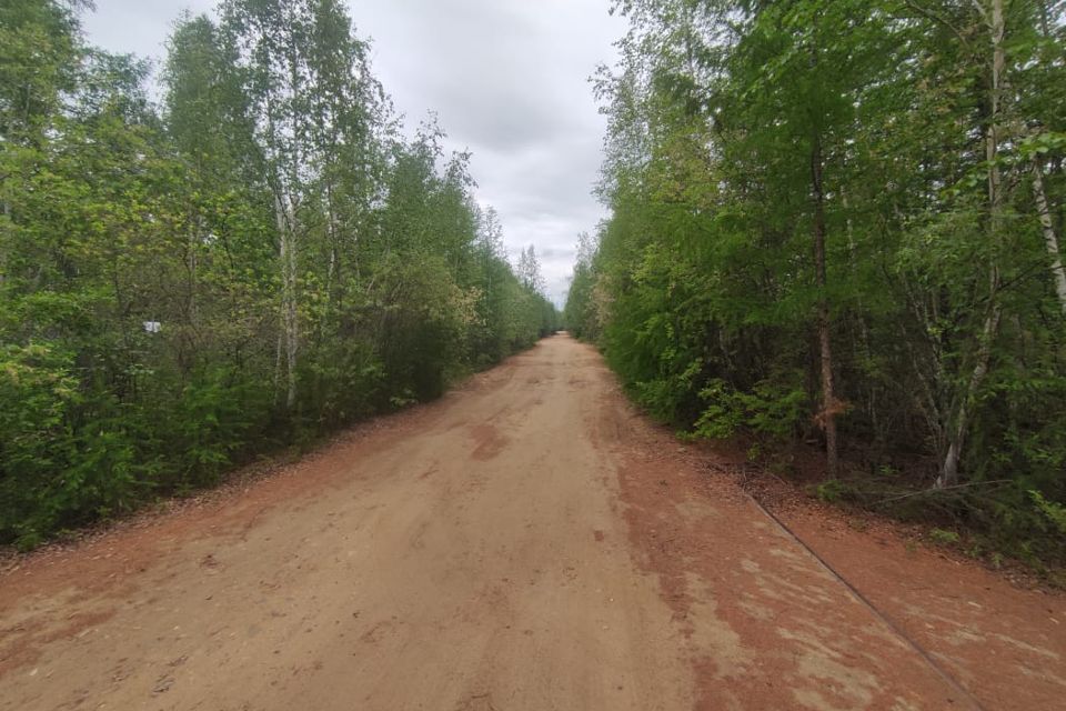 земля городской округ Якутск, Республика Саха Якутия, садово-огородническое товарищество Дружба фото 9