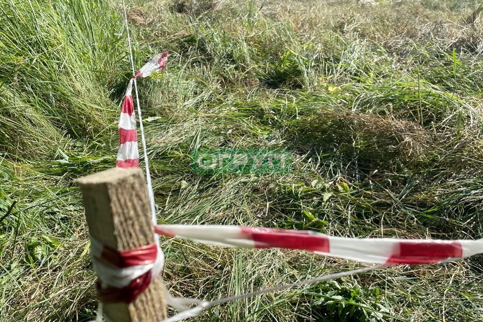 земля р-н Бессоновский с Бессоновка ул Коммунальная Бессоновский сельсовет фото 6