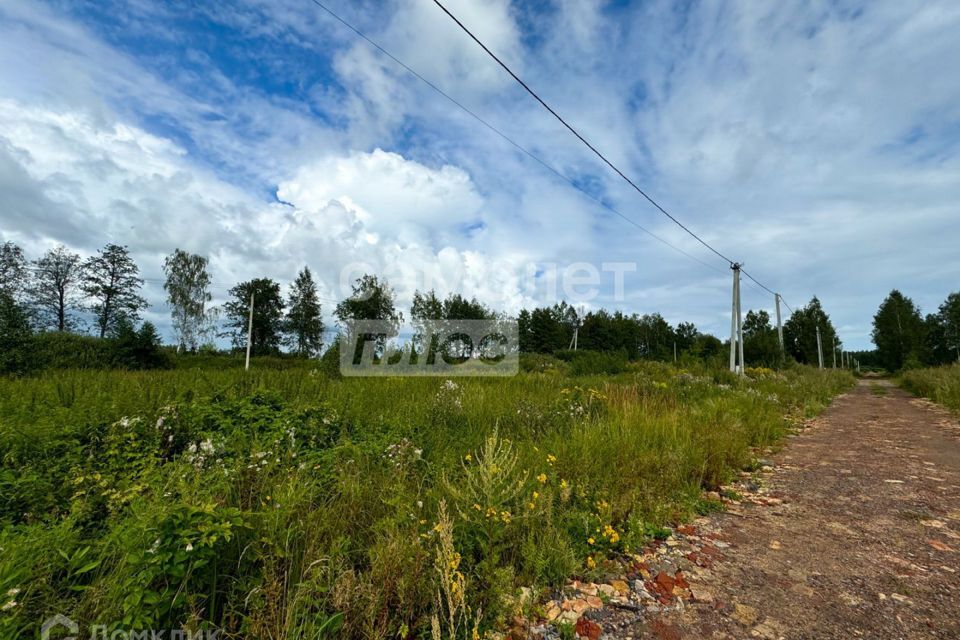 земля городской округ Богородский деревня Калитино фото 1