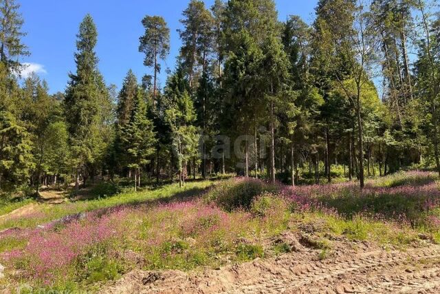 село Иславское фото