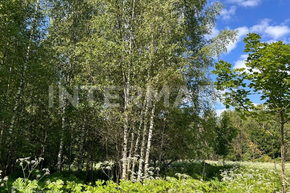 земля городской округ Солнечногорск деревня Гончары фото 3