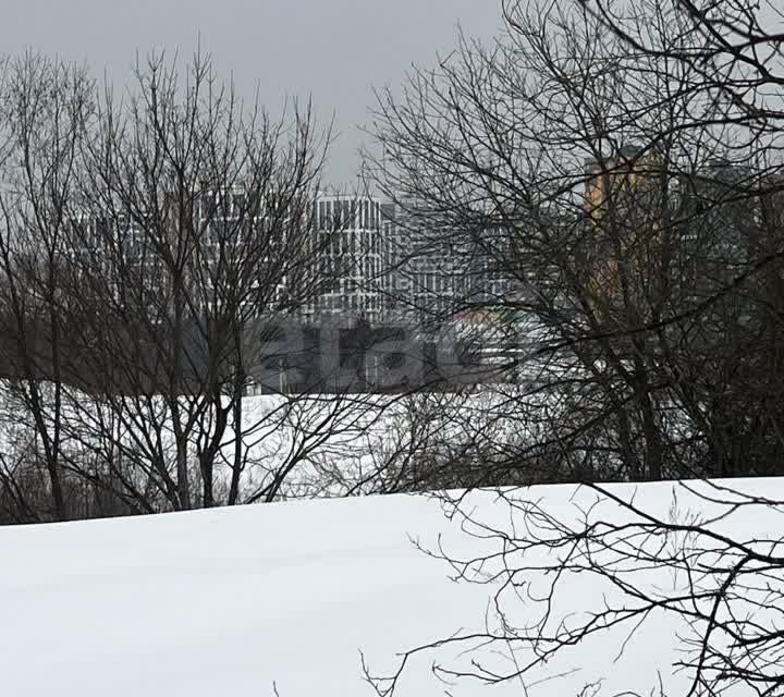 земля городской округ Химки, деревня Рузино фото 3