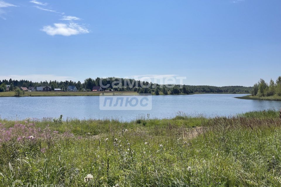 земля городской округ Талдомский СТ Патриот фото 8