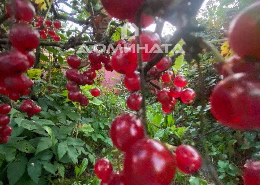 дом р-н Гатчинский г Коммунар СНТ Рассвет фото 7