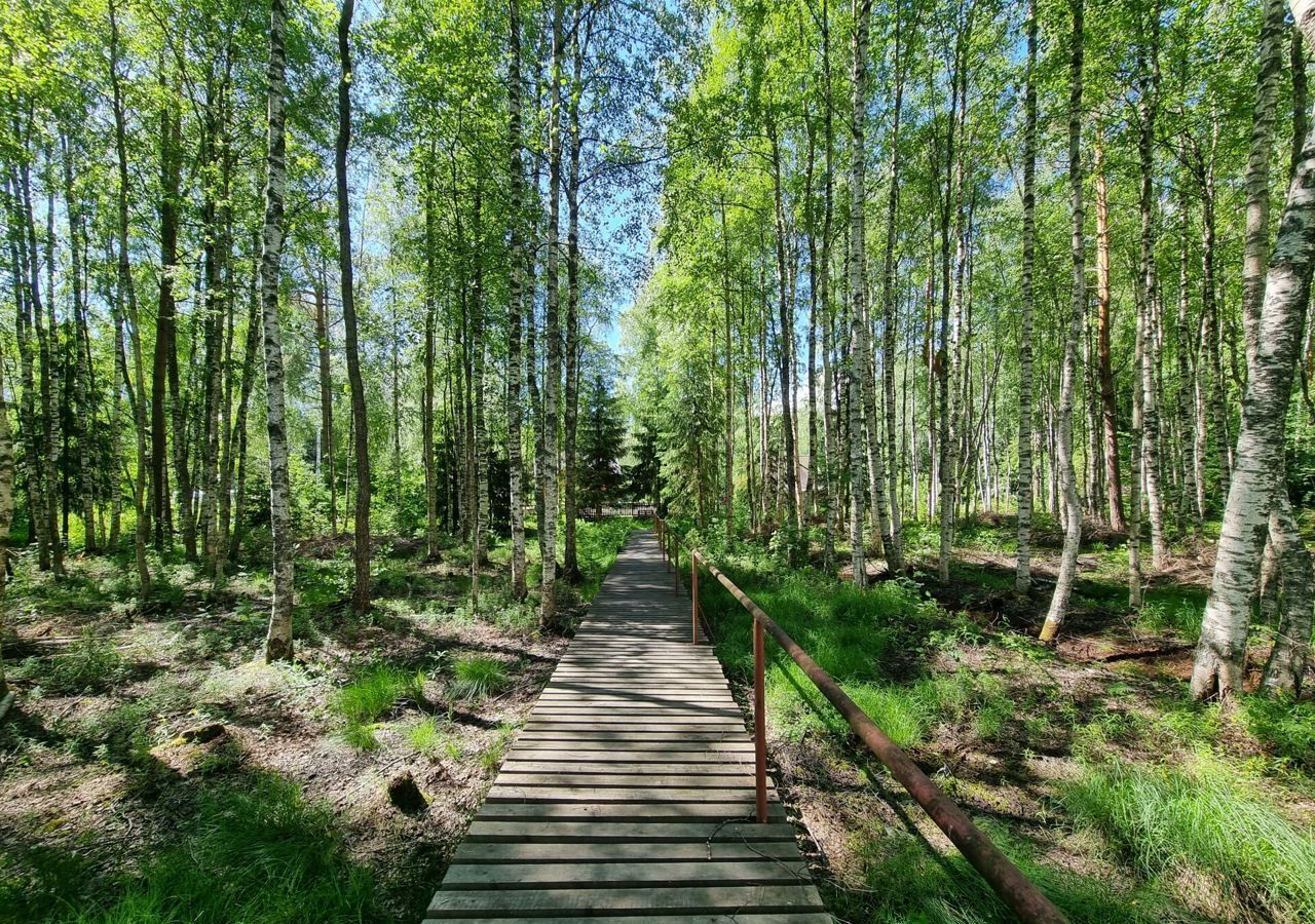 земля р-н Выборгский г Высоцк Селезнёвское сельское поселение фото 6