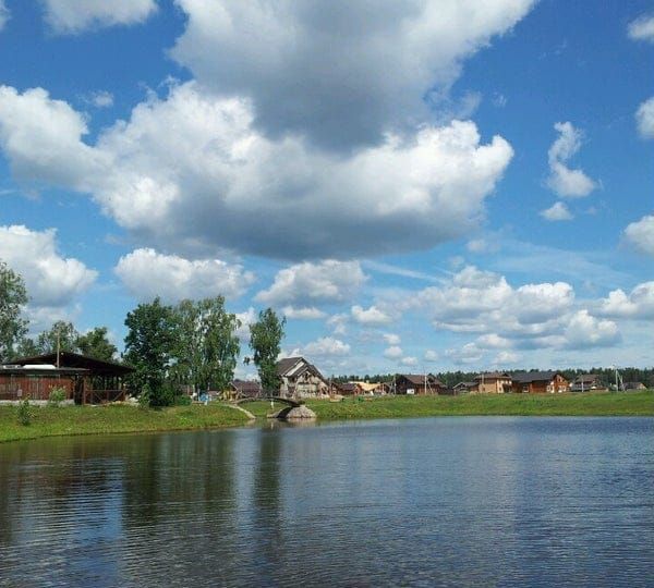 земля городской округ Ступино д Протасово ул Сосновая 9781 км, Михнево, Новокаширское шоссе фото 1