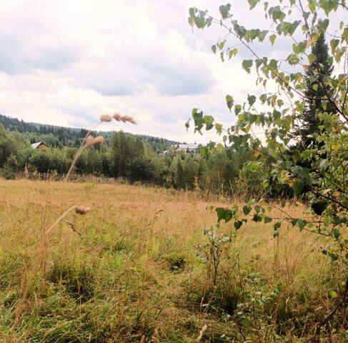 ул Ключевая Таштагольское городское поселение фото