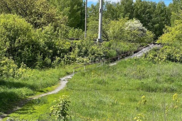 городской округ Искитим, некоммерческое садоводческое товарищество Шиферник фото