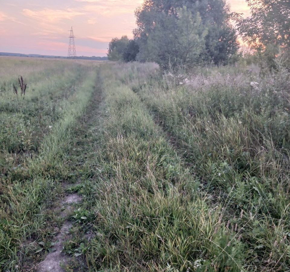 земля городской округ Луховицы с Дединово ул Первомайская Луховицы фото 7