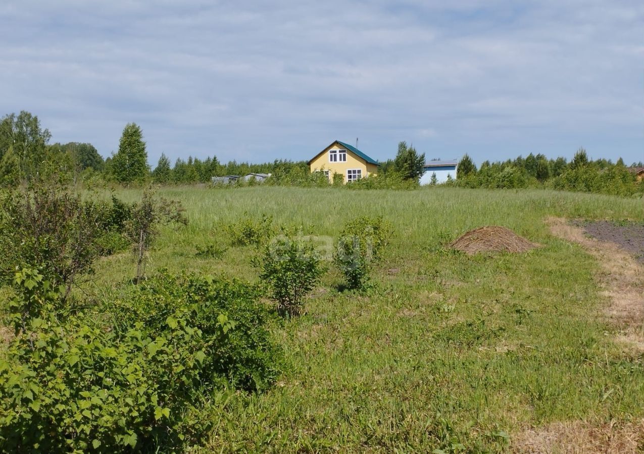 дом р-н Новосибирский Плотниковский сельсовет, СПОК Ладамир, Сокур фото 40