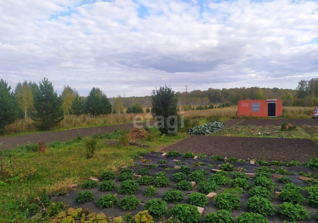 дом р-н Новосибирский Плотниковский сельсовет, СПОК Ладамир, Сокур фото 36