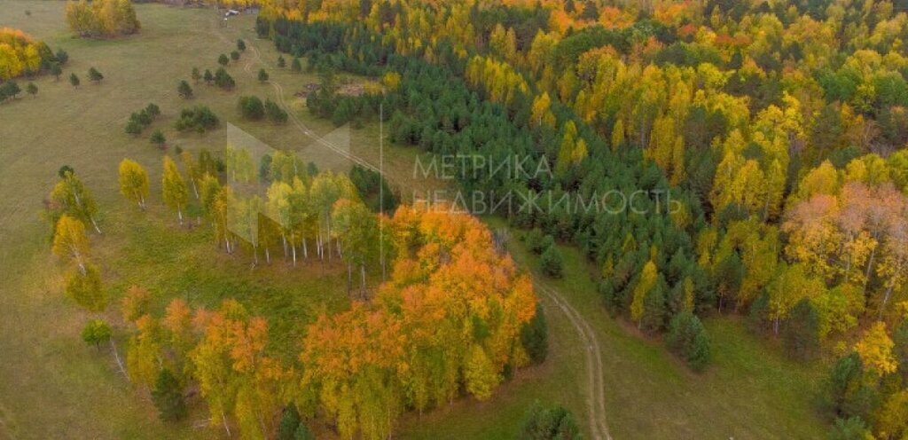 земля р-н Нижнетавдинский д Московка фото 6