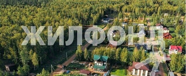 земля Колтушское городское поселение, ул. Еловая фото