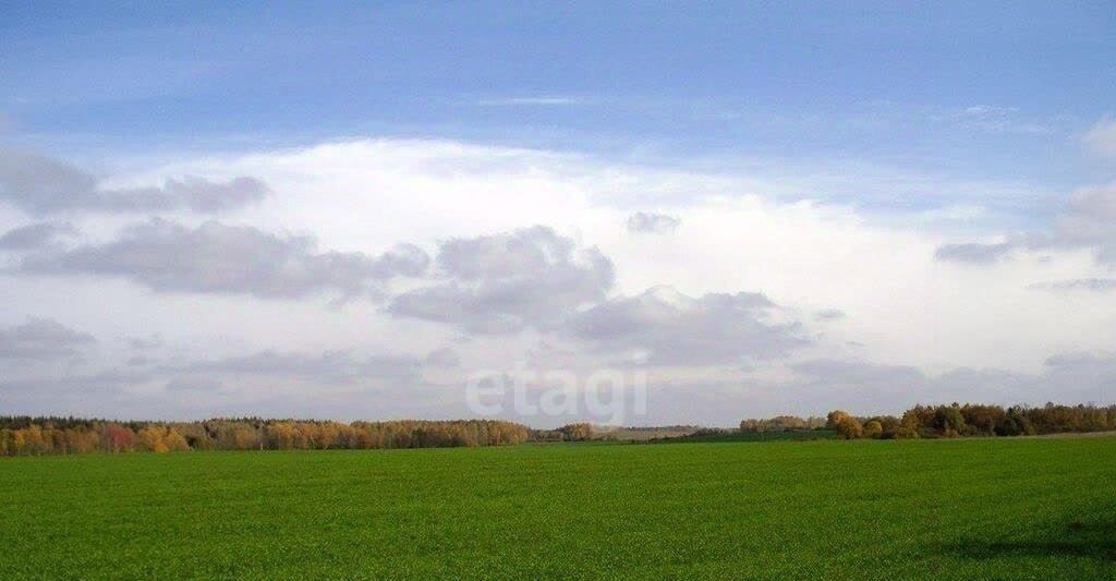 офис р-н Родионово-Несветайский сл Родионово-Несветайская фото 1