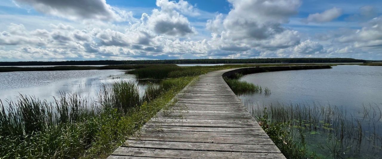 земля р-н Чкаловский д Гребнево Чкаловск городской округ фото 10