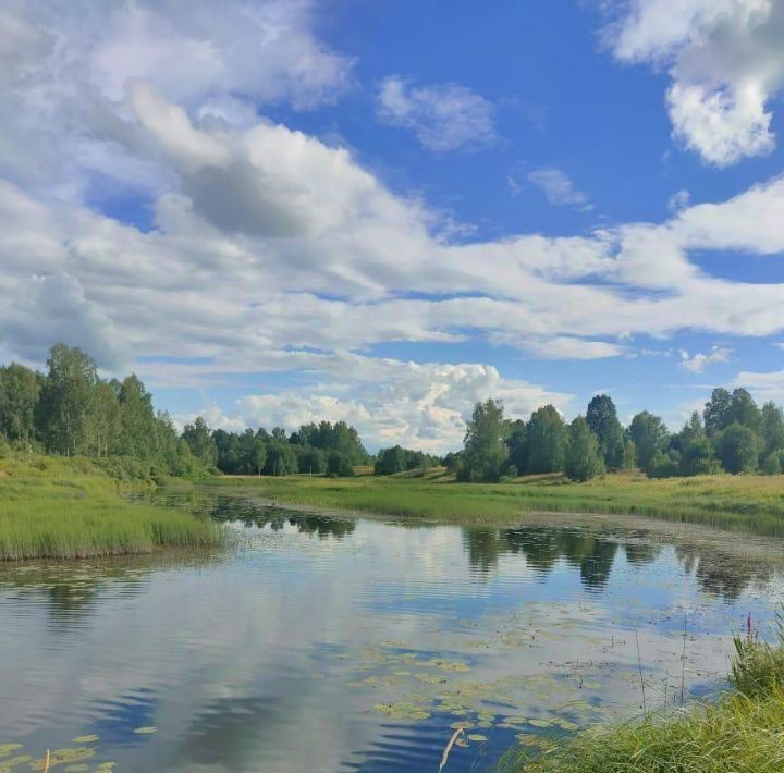 дом р-н Лежневский д Курилиха пос, Комсомольский район, Писцовское с фото 26